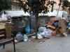 Foto de la Galeria